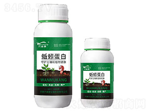 ��򾵰��-�f����