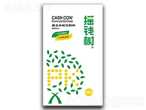 夏玉米控釋肥-搖錢樹-農業(yè)生產