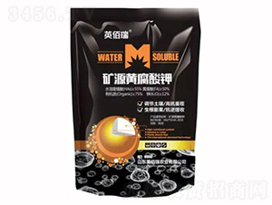 �VԴ�S�����-Ӣ����-�sҫ�r(n��ng)�I(y��)