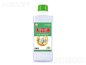 �����͚������x(ch��ng)����-���S�@-�̘�(l��)����