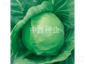 �и�301-���{�N��-���߷N�I(y��)