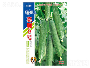 ����9̖(h��o)-�S�ϷN��-�ٹ��R-���~���H