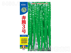 奔騰3號-辣椒種子-海邁國際