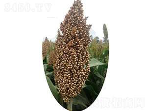 �x�s103̖(h��o)-�����N��-�����N�I(y��)