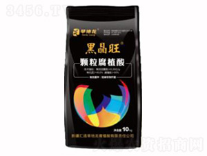 �����ЙC�ʸ�ֲ���w��-�ھ���-������