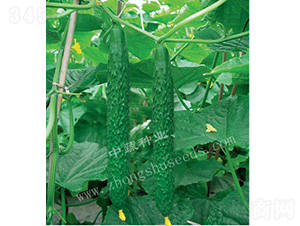 ���r(n��ng)12̖(h��o)-�S�ϷN��-���߷N�I(y��)