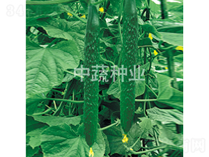 ���r(n��ng)128̖(h��o)-�S�ϷN��-���߷N�I(y��)