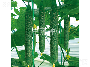 ���r(n��ng)28̖(h��o)-�S�ϷN��-���߷N�I(y��)