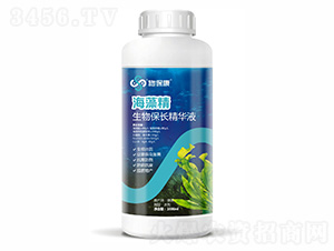 ���ﱣ�L���AҺ-���徫-ʩ����