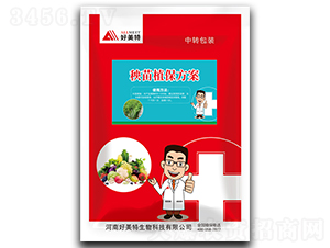 ����ֲ������-������