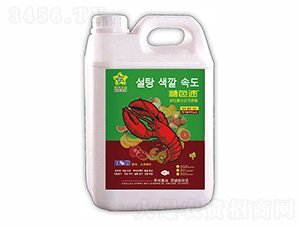 ��ɫ��-ס�̺긣