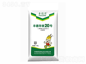 �S�´���20̖-�S�¿�