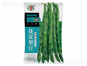 ��Ƥ�ܶ�-�Z���_(d��)