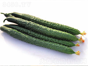 ����719-�S�ϷN��-����