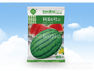 ����6̖-�Ƙ��N�I(y��)