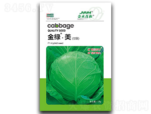 金綠·美甘藍-甘藍種子-金木茂和