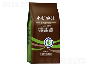 ��ۺϹ��-���-����