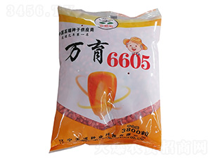 玉米種子-萬育6605-農(nóng)哈哈-天成種業(yè)