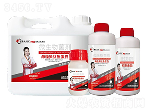 海藻多肽魚蛋白-木魚石