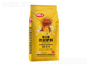 ����ø�������28-6-6-�t̫�(y��ng)