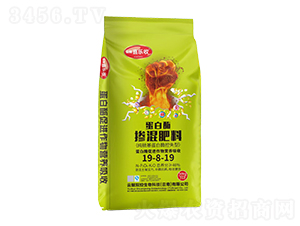 ����ø�������19-8-19-�t̫�