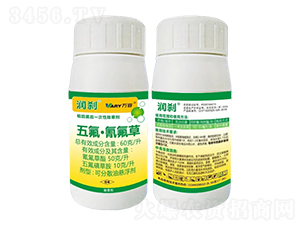 60��/������������300��-��(r��n)�x-�f(w��n)��