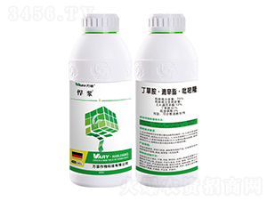 75%���ݰ���������������¡-���{-�f(w��n)��