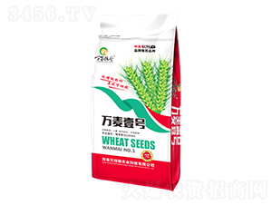 �f��Ҽ̖(h��o)-�f�ҼZ�}-�f��(d��n)�Z