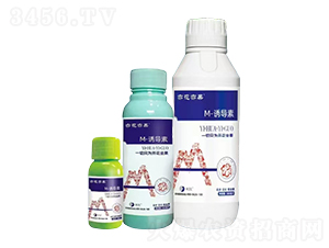 M-�T��(d��o)��-�໨���-����֮�G