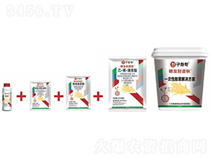 ��������݄���һ���Գ��ݽ�Q������-�n�ѷ����-�n�ѻ��W(xu��)