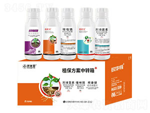 ���ϴ�ֲ������-���ׁ�