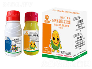 1+1���������݄����b-��O�����b-�t�f(w��n)��-�l(xi��ng)�弾�L(f��ng)-���˹����r(n��ng)��