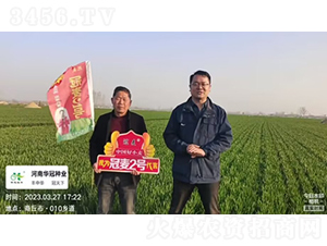 ����2̖-С���N��-�d�A�N�I(y��)