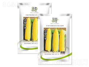 �δ�һ̖(h��o)-���׷N��-�����r(n��ng)ˇ