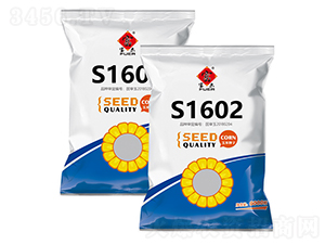 ����1602-���׷N��-�����r(n��ng)ˇ