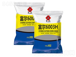 ����6003H-���׷N��-�����r(n��ng)ˇ