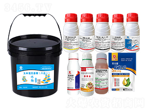 ���׌��ñ���M�����b���˺�һ��-�l(xi��ng)�弾�L(f��ng)