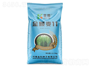 ���w��11-���w-�����r(n��ng)�I(y��)