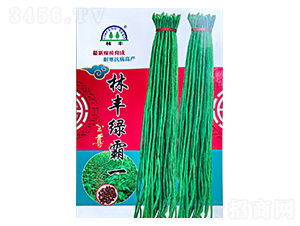 林豐豇豆種子-陵豐種苗