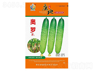 �W�_-�S�ϷN��-���ؿƼ�