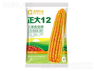 ����12-���׷N��-����N�I(y��)