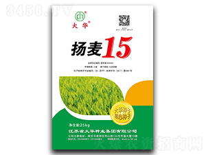 �P(y��ng)��15-С���N��-���A�N�I(y��)