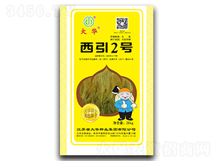 ����2̖(h��o)-С���N��-���A�N�I(y��)