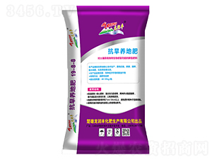 �����B(y��ng)�ط�19-8-8-�����S