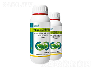 0.01%24-���|̦�؃���-���A��