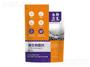 枯草芽孢桿菌-恩正