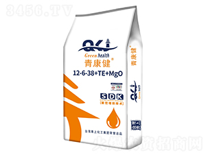 �࿵������Ԫ��ˮ�ܷ���12-6-38+TE+MgO-�_(t��i)������