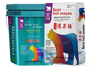 爆果酶-一粒神