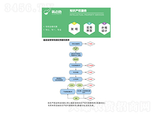 知識產(chǎn)權(quán)服務(wù)-新泊地