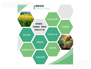 服務(wù)項目-新泊地